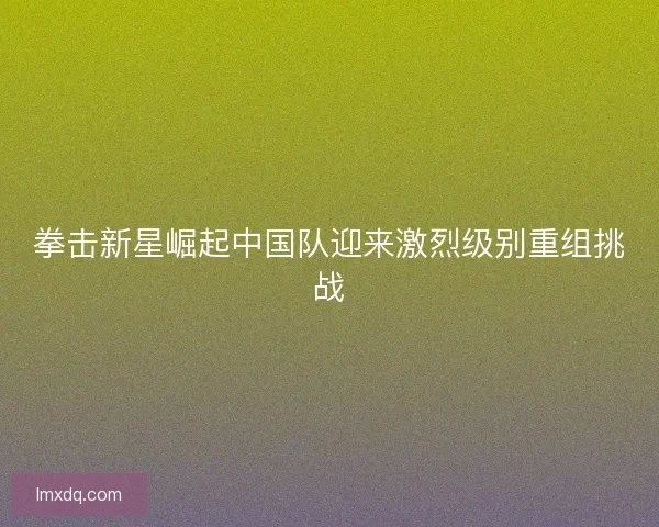 拳击新星崛起中国队迎来激烈级别重组挑战